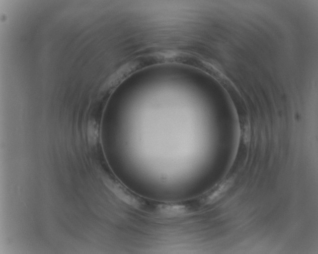 X0000074290476200609081856