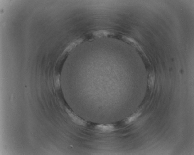 X0000074290477200609081856