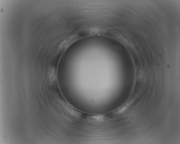 X0000074290478200609081856