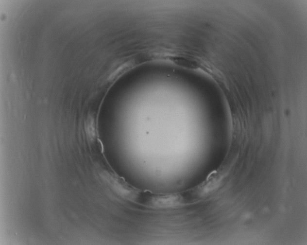 X0000074290479200609081856