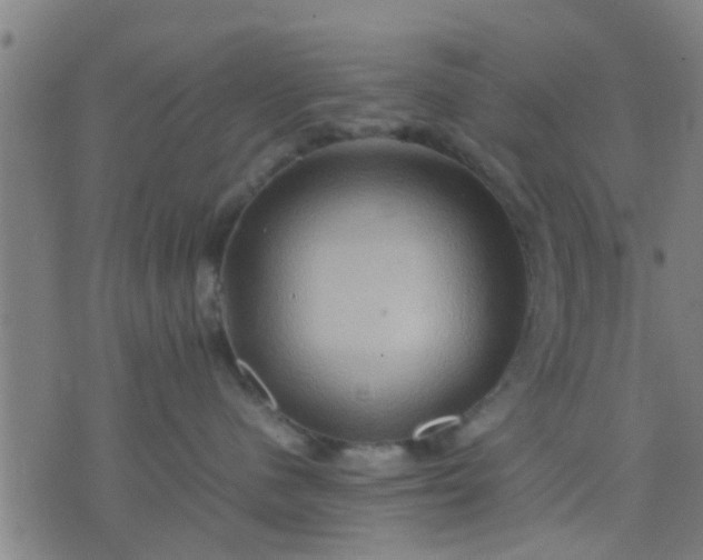 X0000074290480200609081856