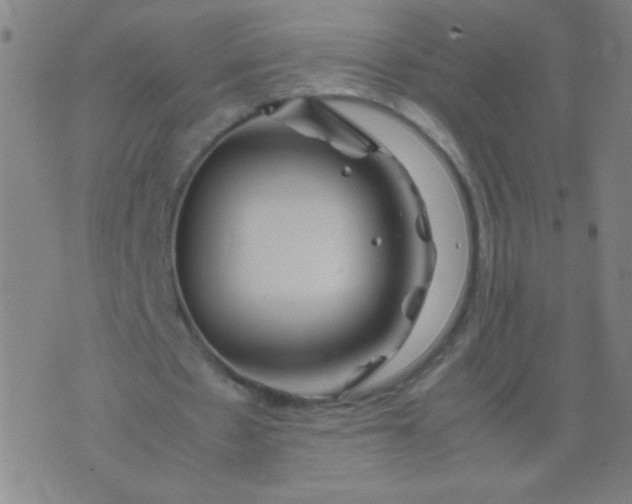 X0000074290481200609081856