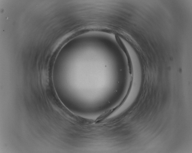 X0000074290484200609081856