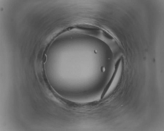 X0000074290485200609081856