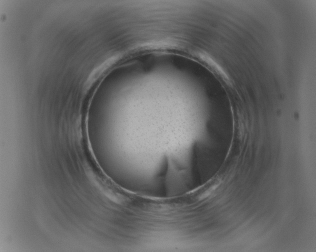 X0000074290486200609081856