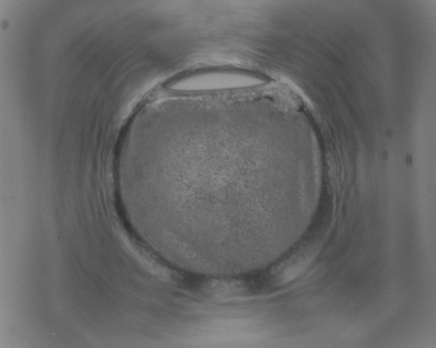 X0000074290487200609081856