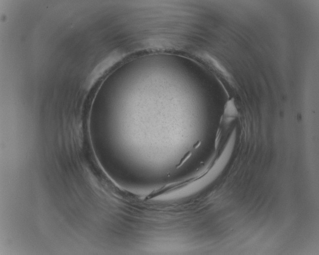 X0000074290488200609081856