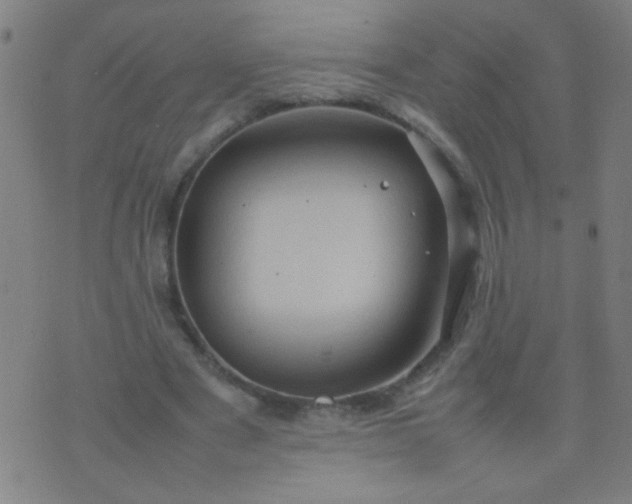 X0000074290489200609081855