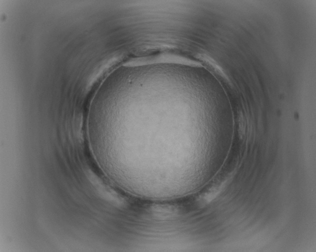 X0000074290490200609081855