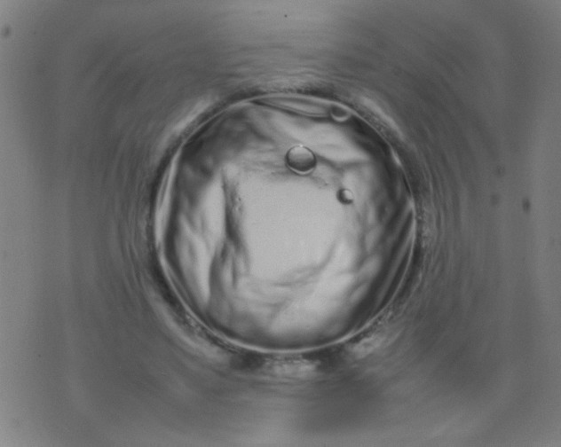 X0000074290491200609081855