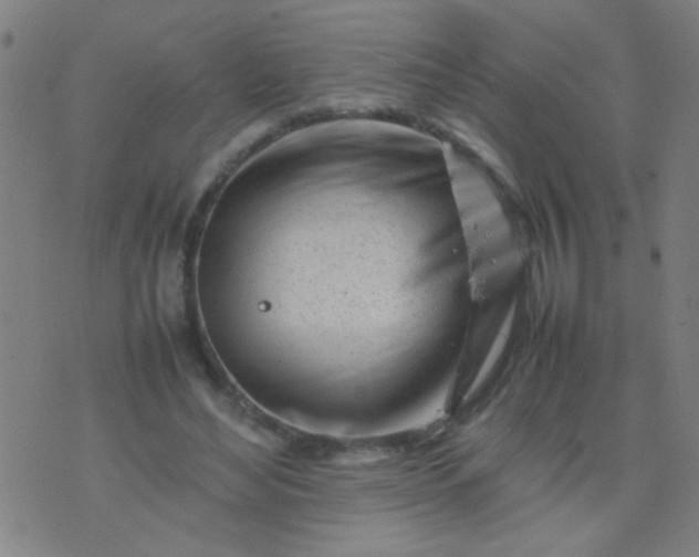 X0000074290492200609081855