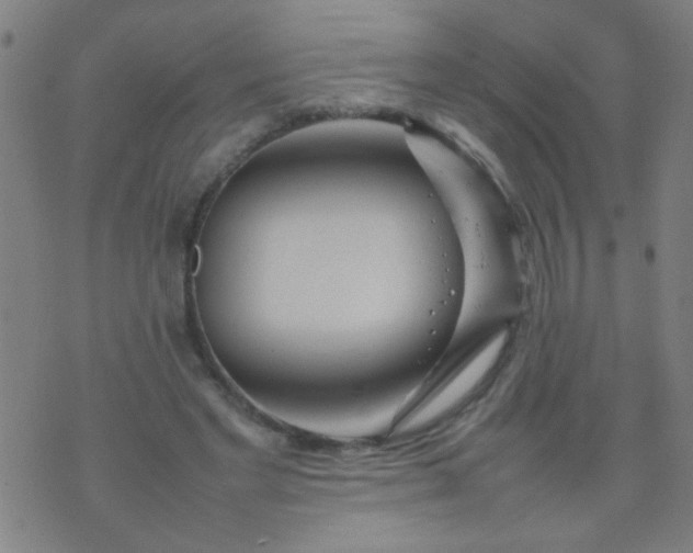 X0000074290493200609081855