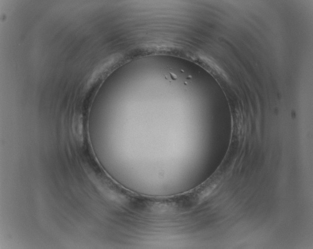 X0000074290494200609081855