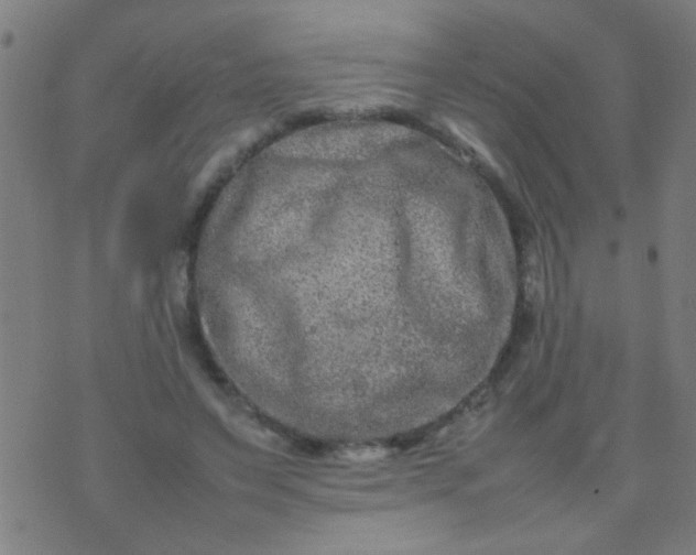 X0000074290495200609081855