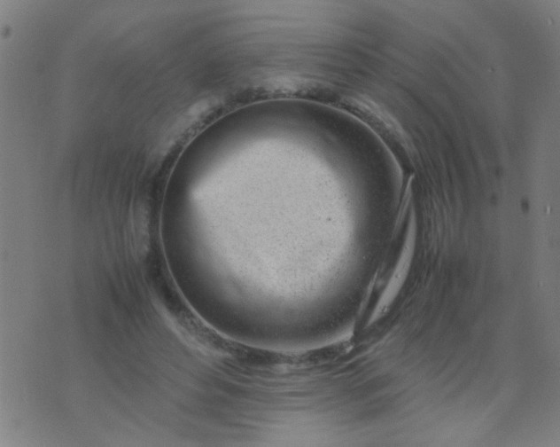 X0000074290496200609081855