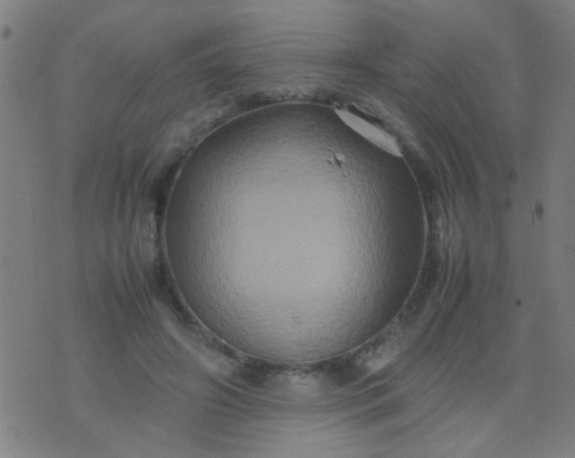 X0000074290498200609081855