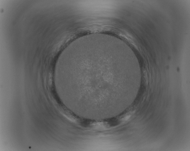 X0000074290499200609081855