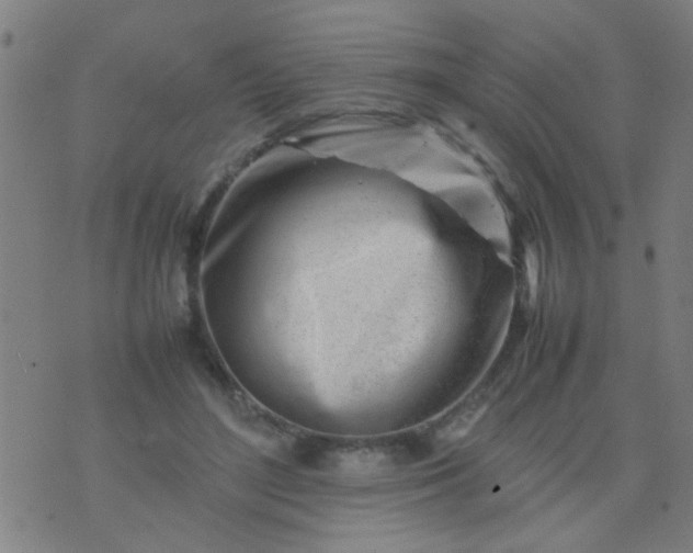 X0000074290500200609081855