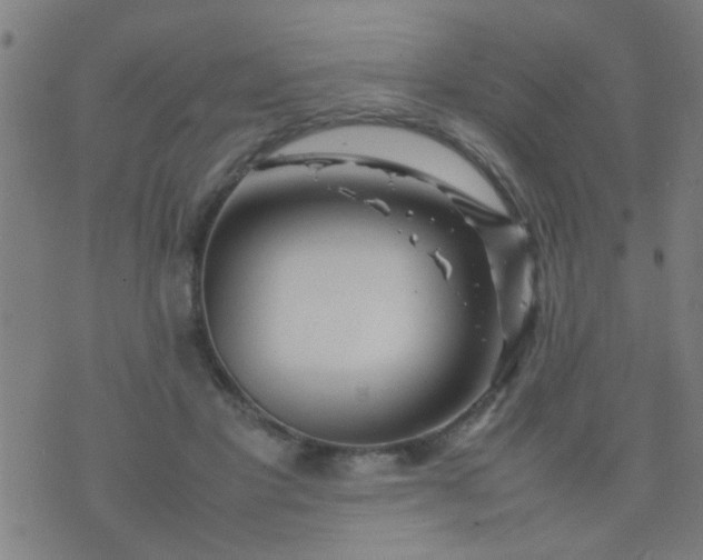 X0000074290501200609081855