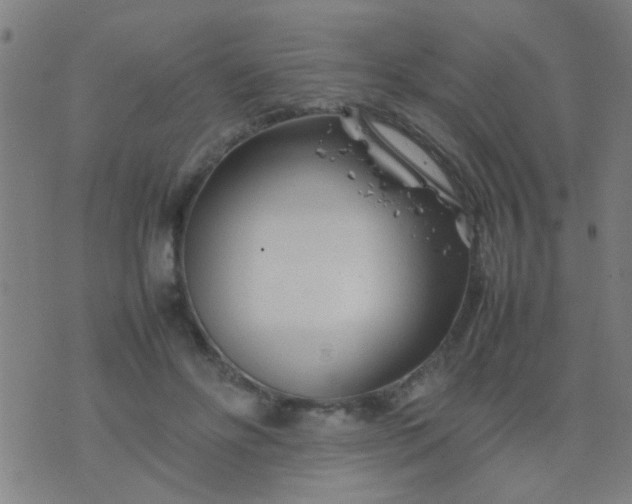 X0000074290502200609081855