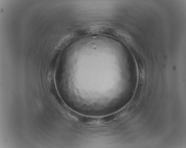 X0000074290503200609081855