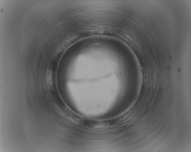 X0000074290504200609081855