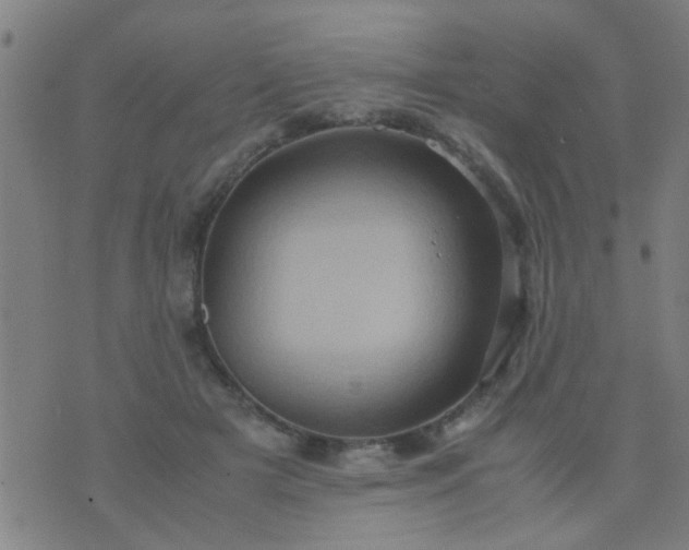 X0000074290505200609081855