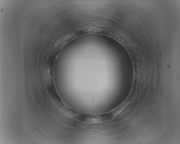 X0000074290506200609081855