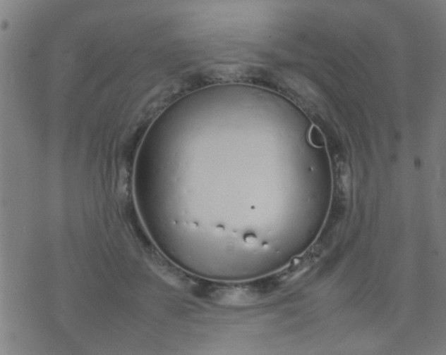 X0000074290507200609081855