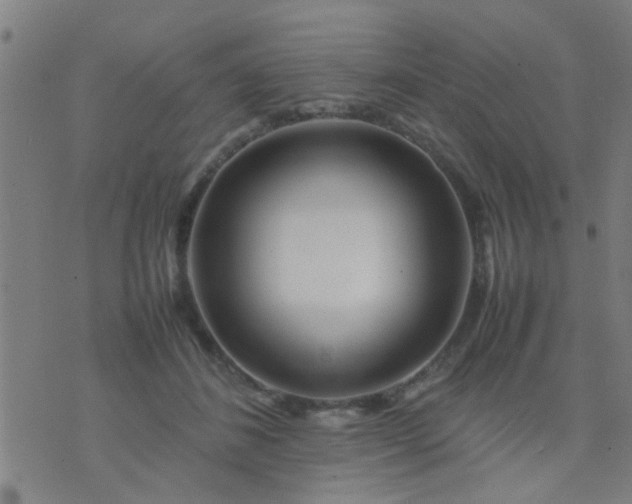 X0000074290508200609081855