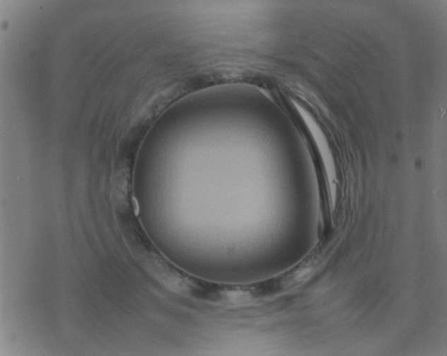 X0000074290509200609081855