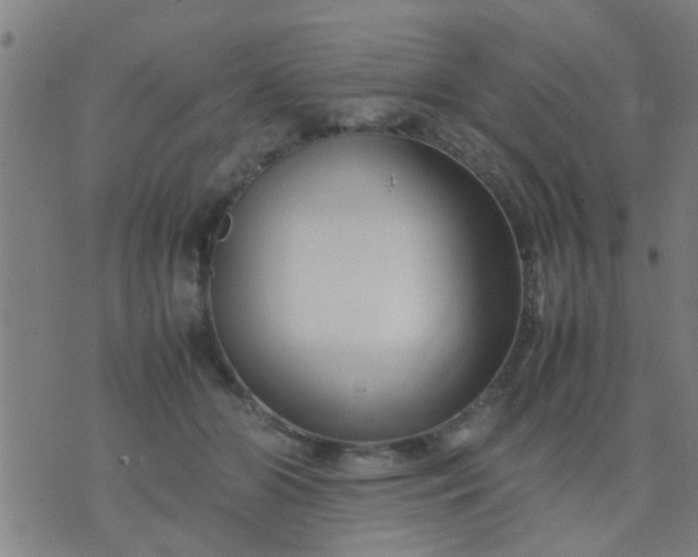 X0000074290510200609081855