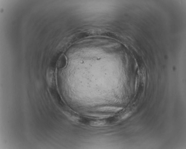 X0000074290511200609081855