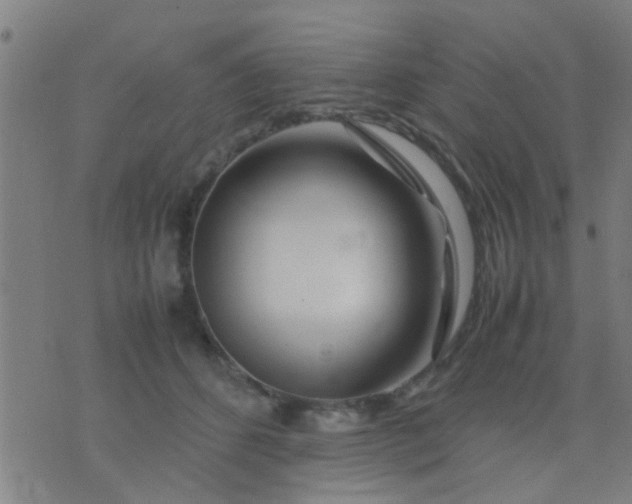 X0000074290512200609081855