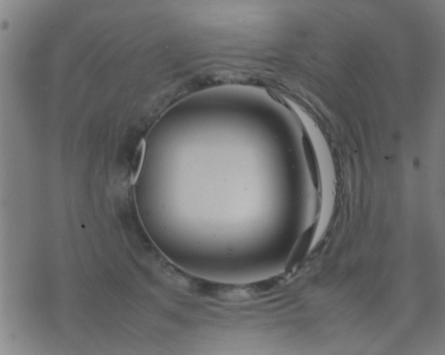 X0000074290513200609081855