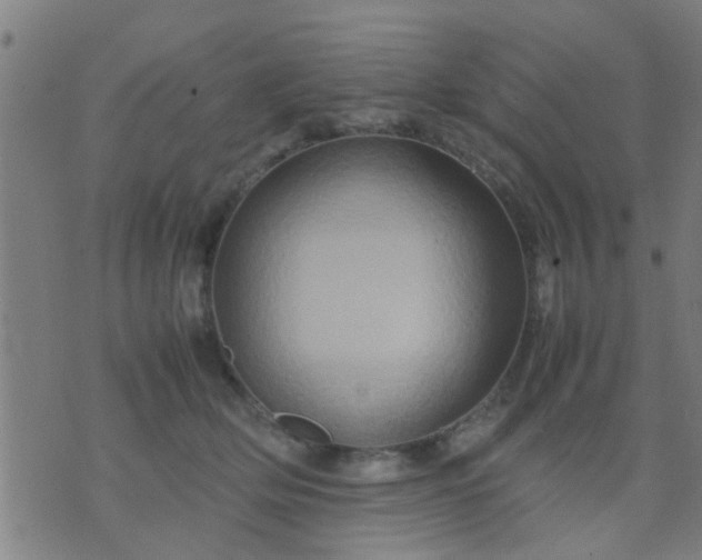 X0000074290514200609081855