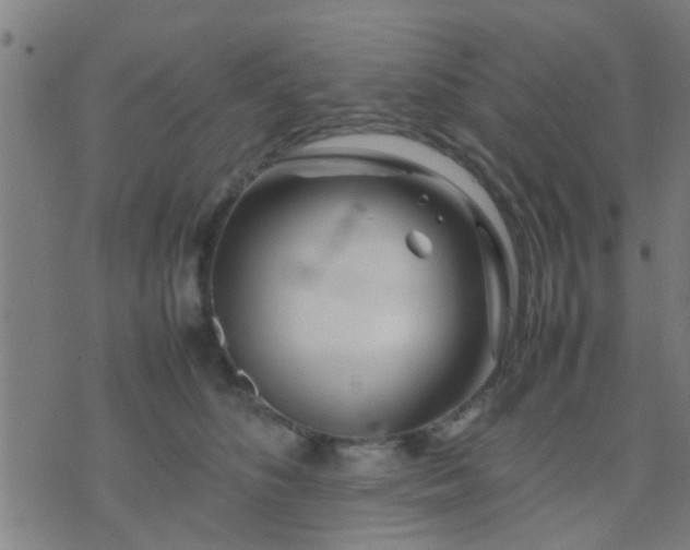 X0000074290516200609081855