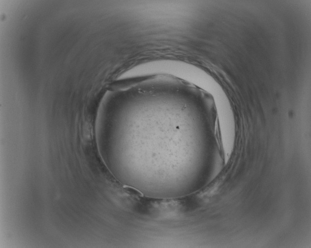 X0000074290517200609081855