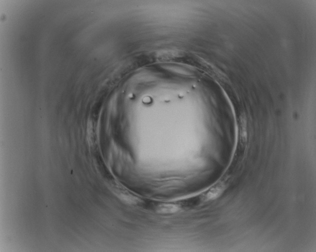 X0000074290519200609081855