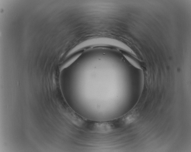 X0000074290520200609081855