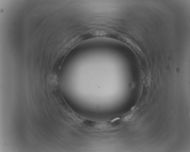 X0000074290521200609081855