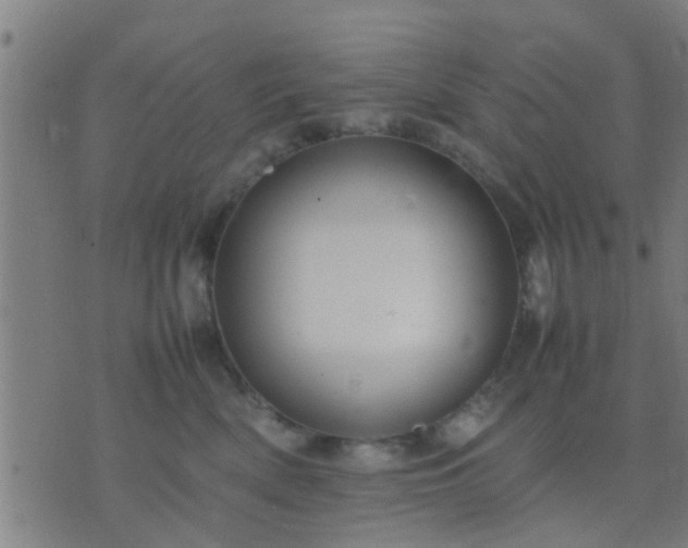 X0000074290522200609081855