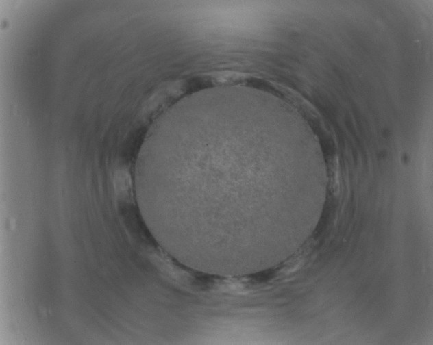 X0000074290523200609081855