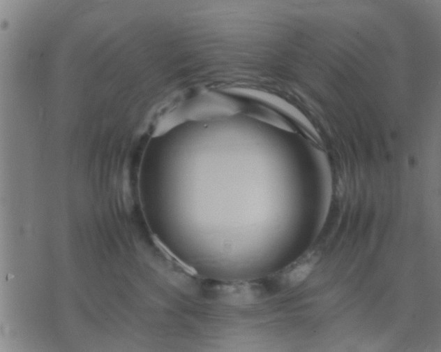 X0000074290524200609081855