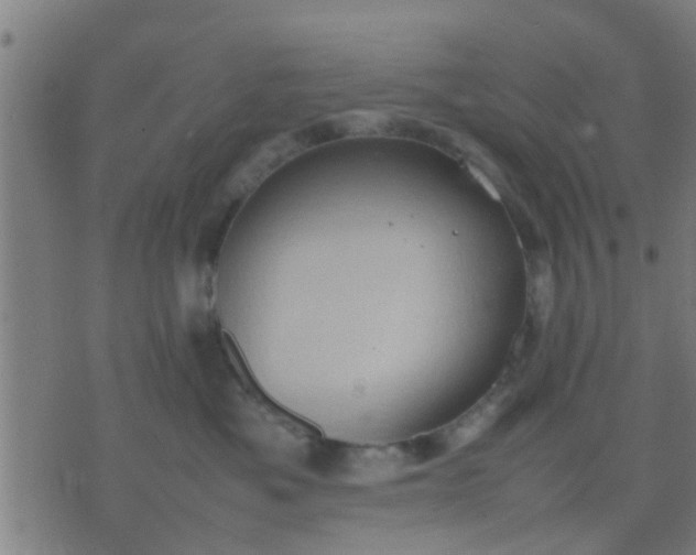 X0000074290525200609081855