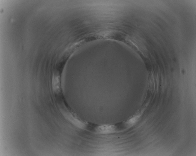 X0000074290526200609081855