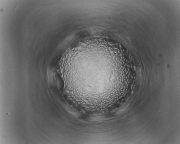 X0000074290527200609081855