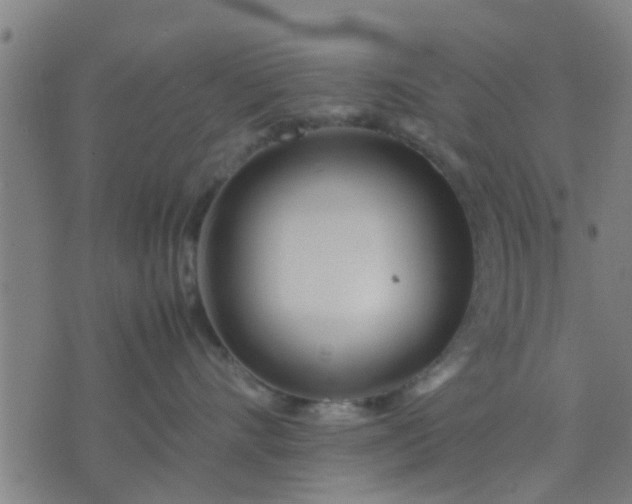 X0000074290528200609081855