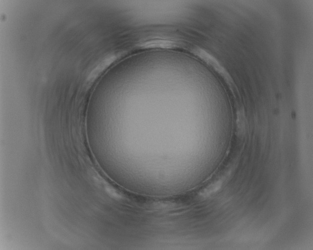 X0000074290529200609081854