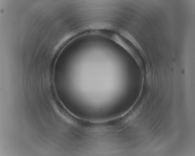 X0000074290530200609081854